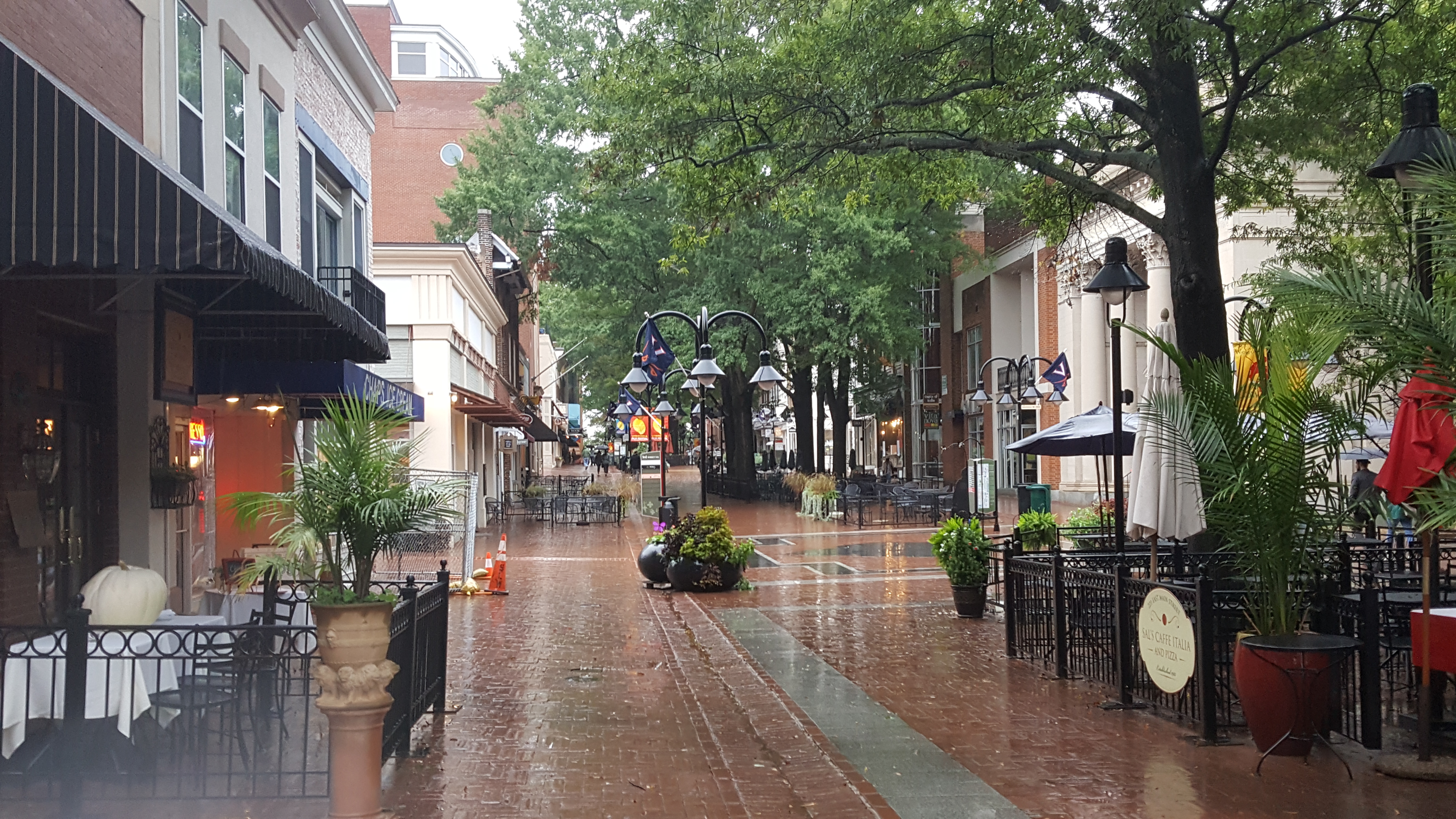 Downtown Charlottesville